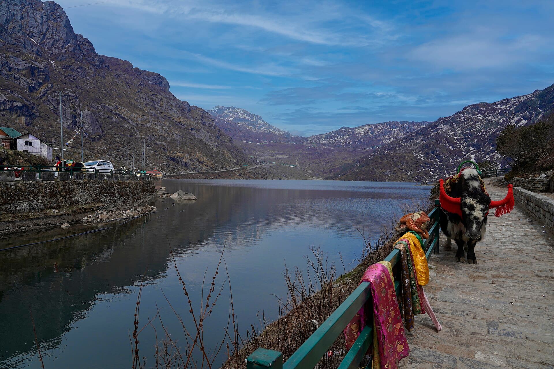 Tsomgo Lake mirroring bare mountain slopes, with a black yak in red tassels standing on the stone shoreline path