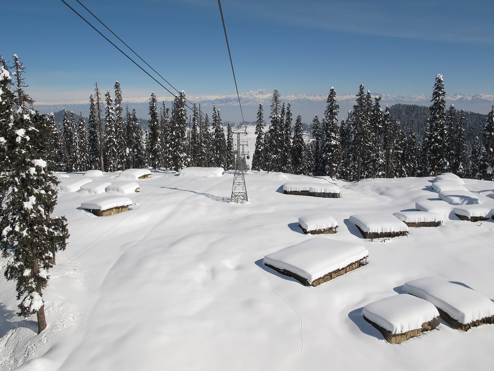 Gulmarg Gondola cabins climbing a cable line through snow-laden pine trees toward the mountain station