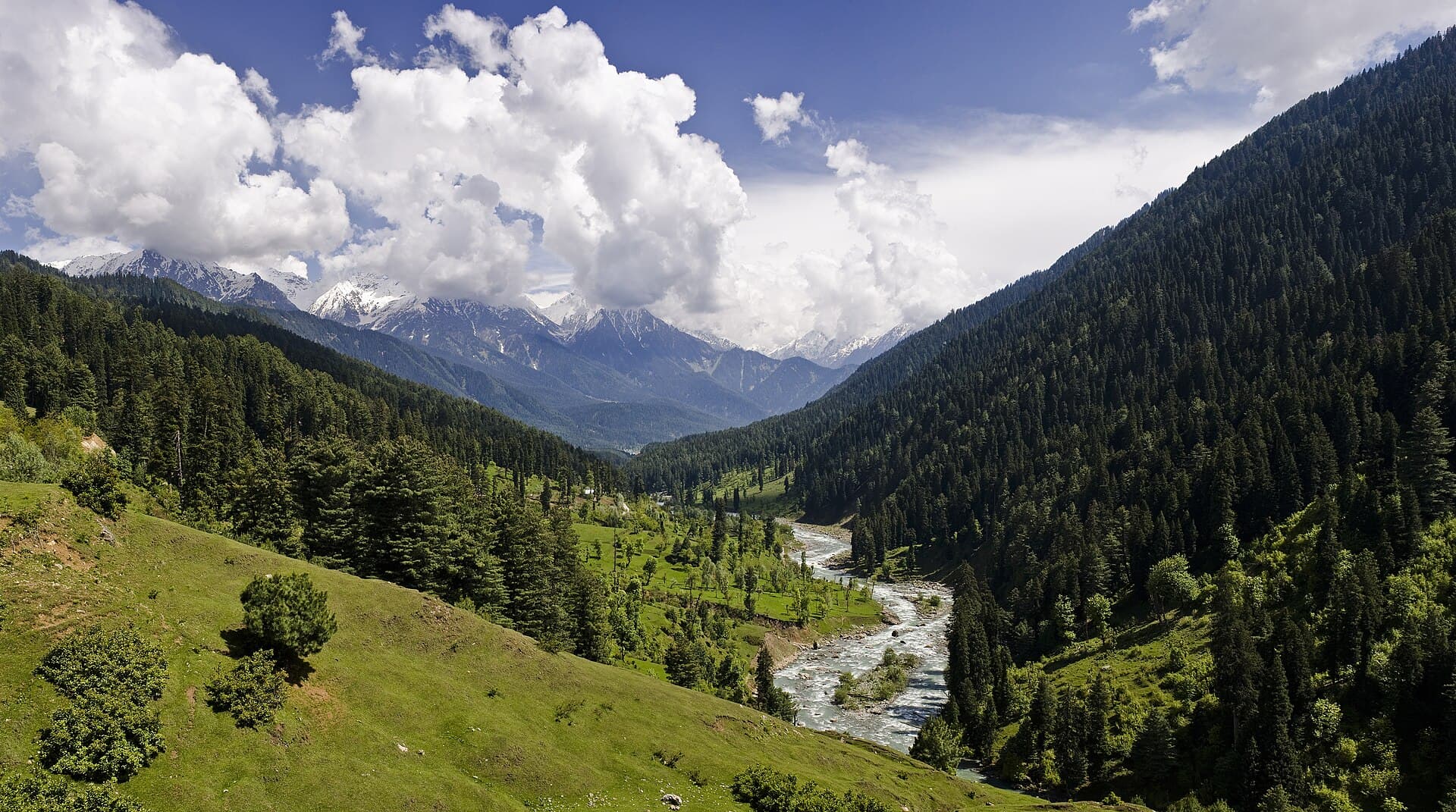 The Lidder river running through a green pine-forested valley at Pahalgam, snow peaks filling the horizon