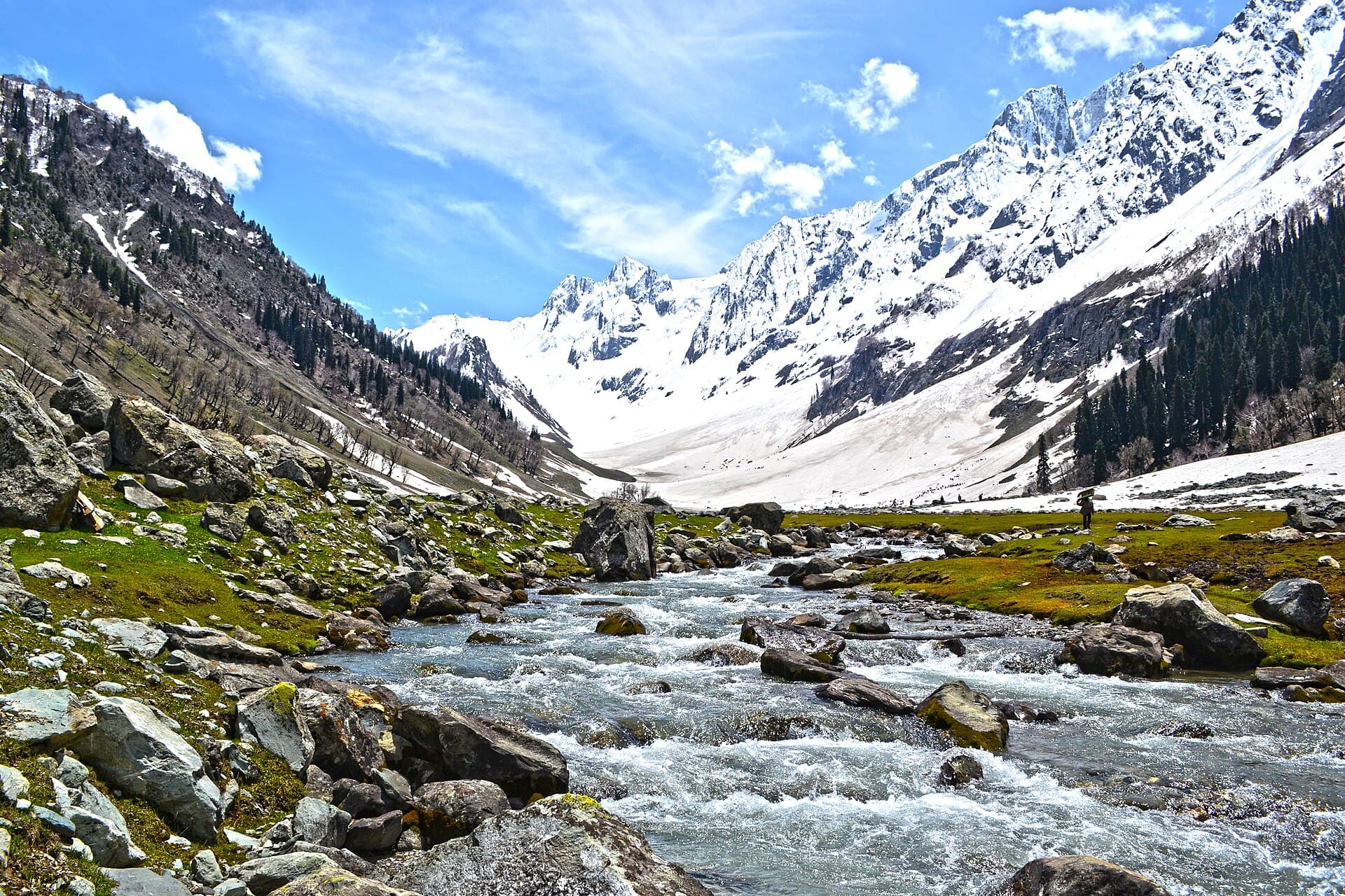 A glacial stream cutting through Sonamarg's boulder-strewn meadow, snow-capped peaks rising beyond the pines