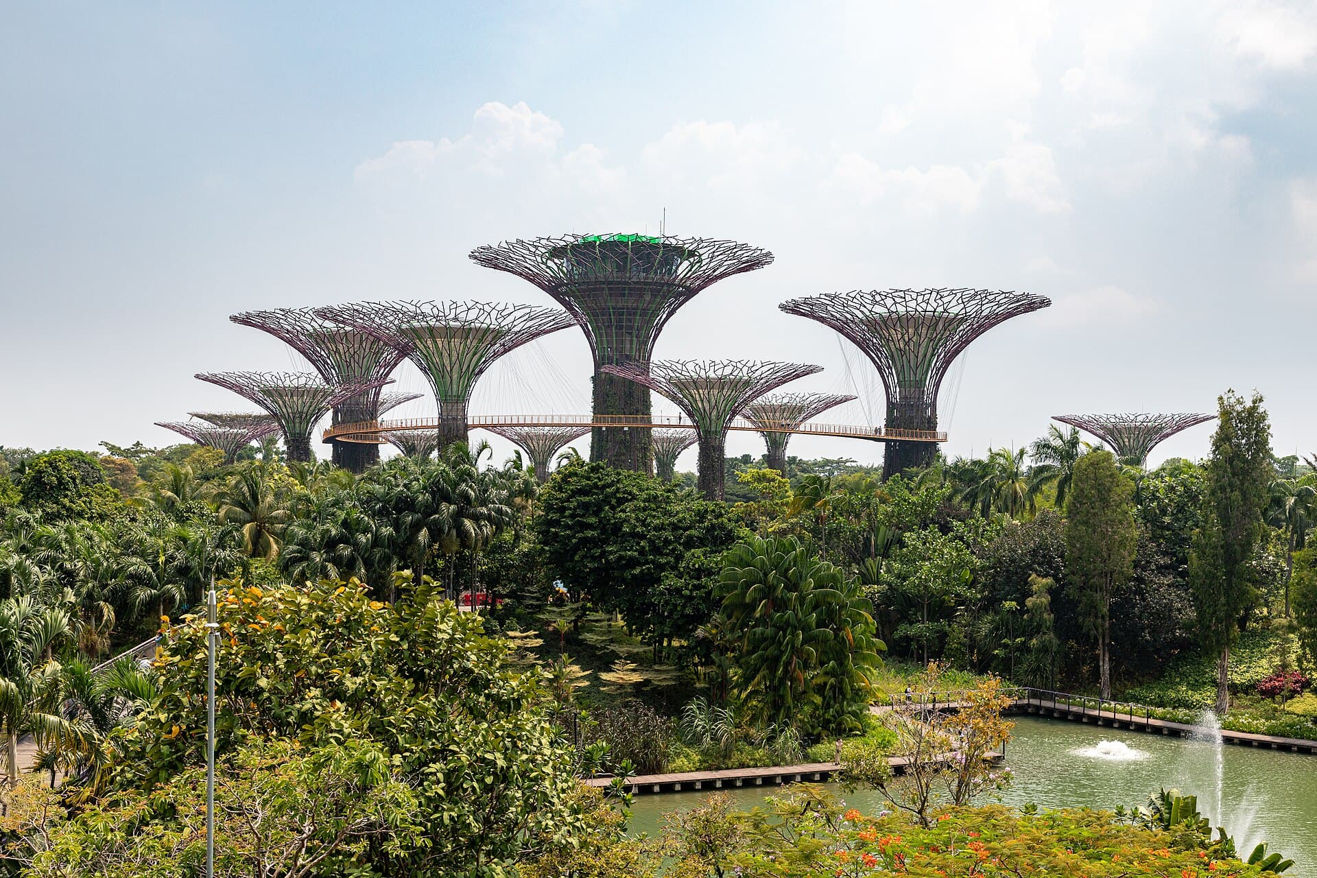 The elevated canopy walkway threading between the towering steel Supertrees at Gardens by the Bay